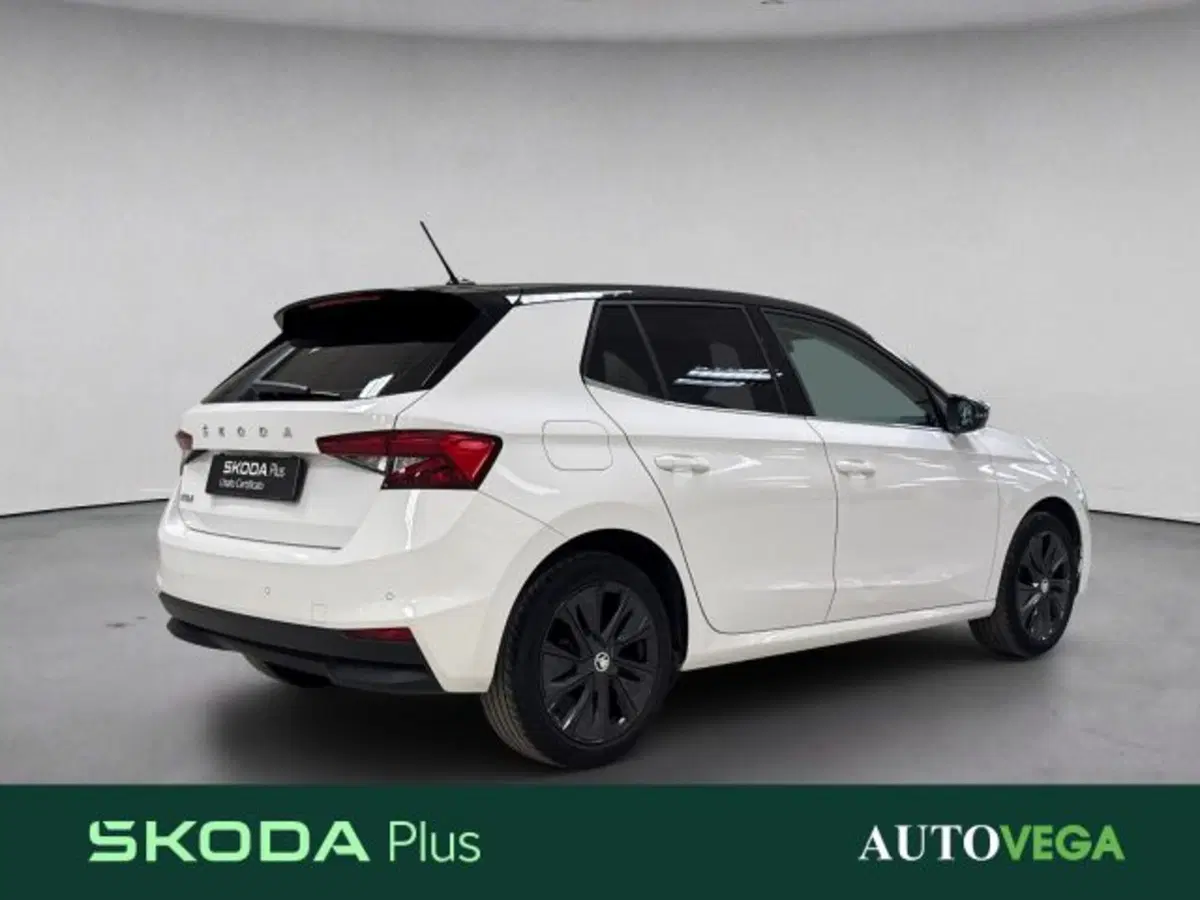 Skoda Fabia usata a Vicenza (4)