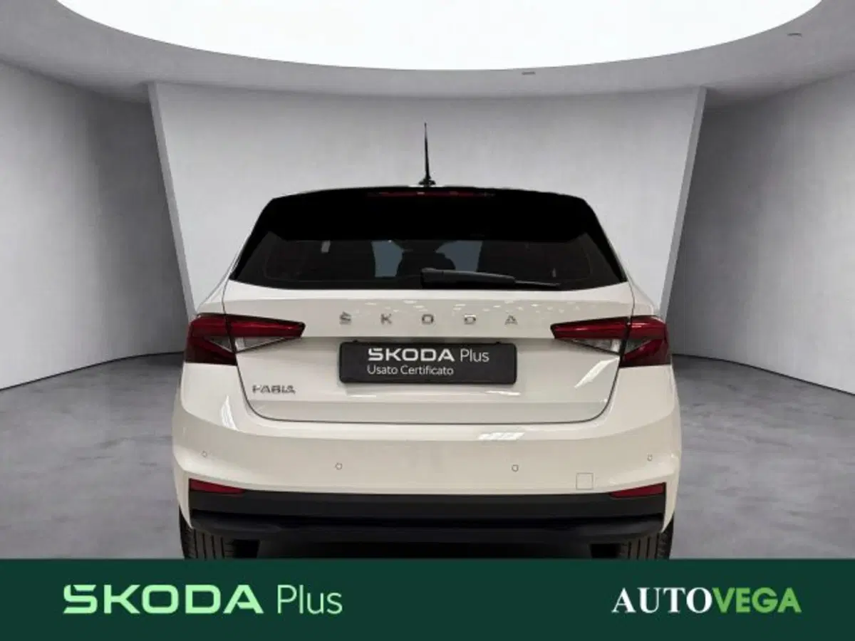 Skoda Fabia usata a Vicenza (5)
