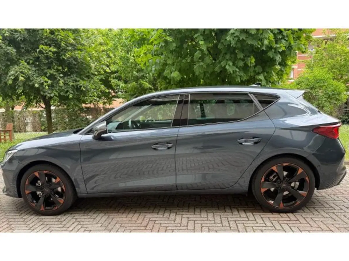 Cupra Leon usata a Vicenza (2)