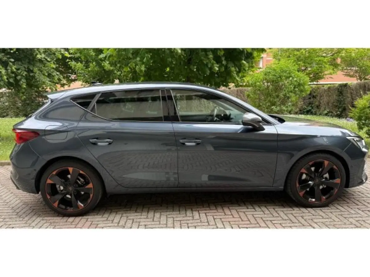 Cupra Leon usata a Vicenza (5)