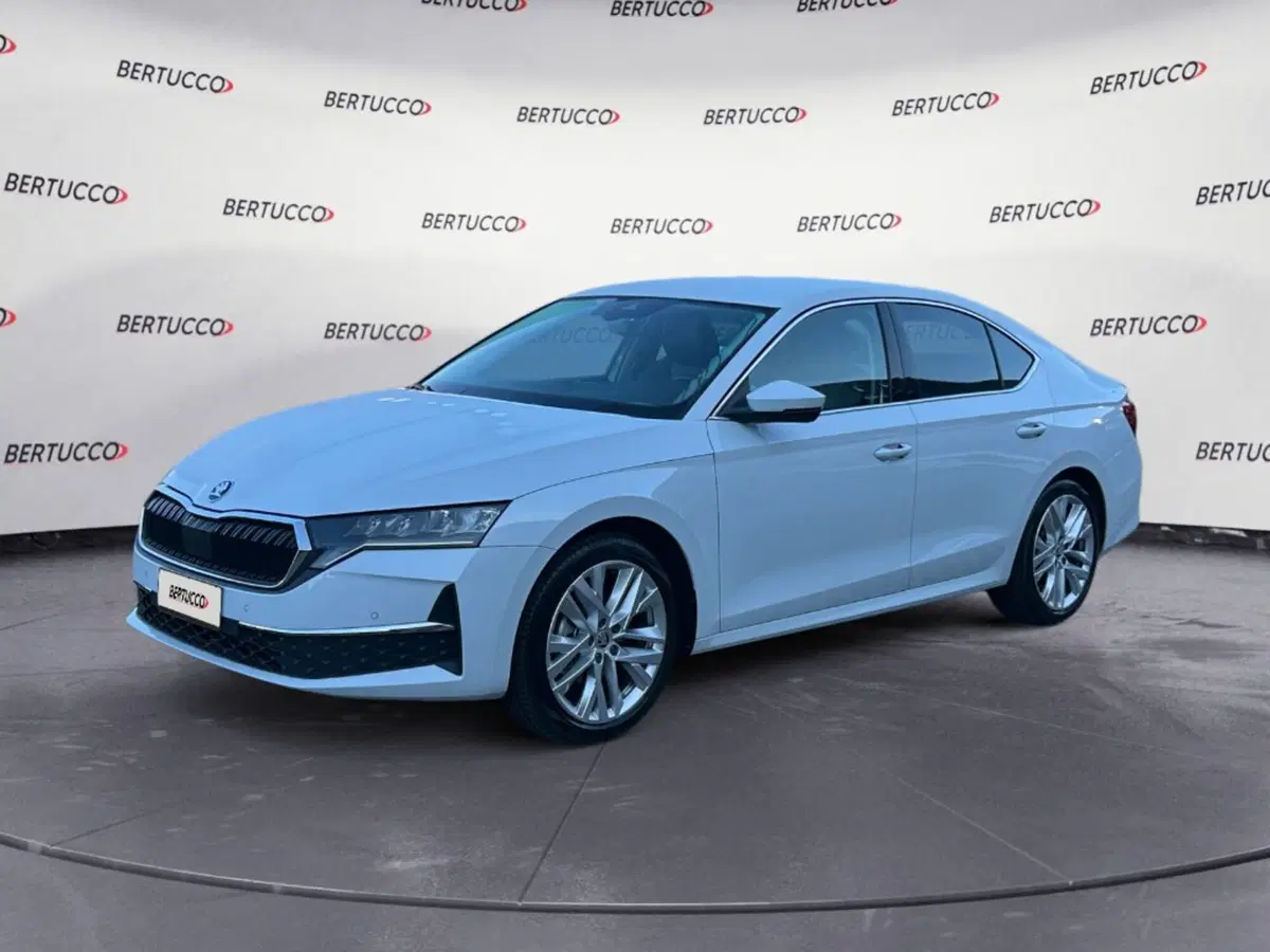 Skoda Octavia usata a Verona (2)