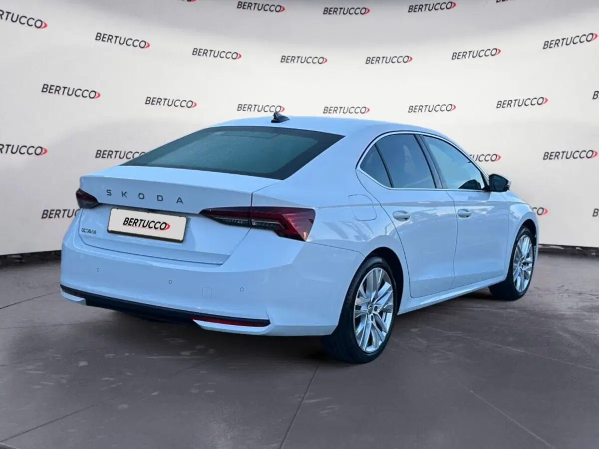 Skoda Octavia usata a Verona (4)