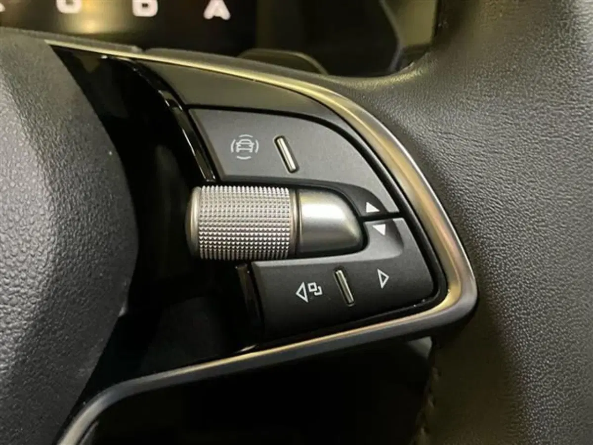 Skoda Octavia Station Wagon usata a Como (18)