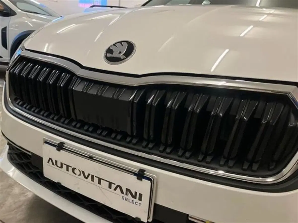Skoda Octavia Station Wagon usata a Como (19)