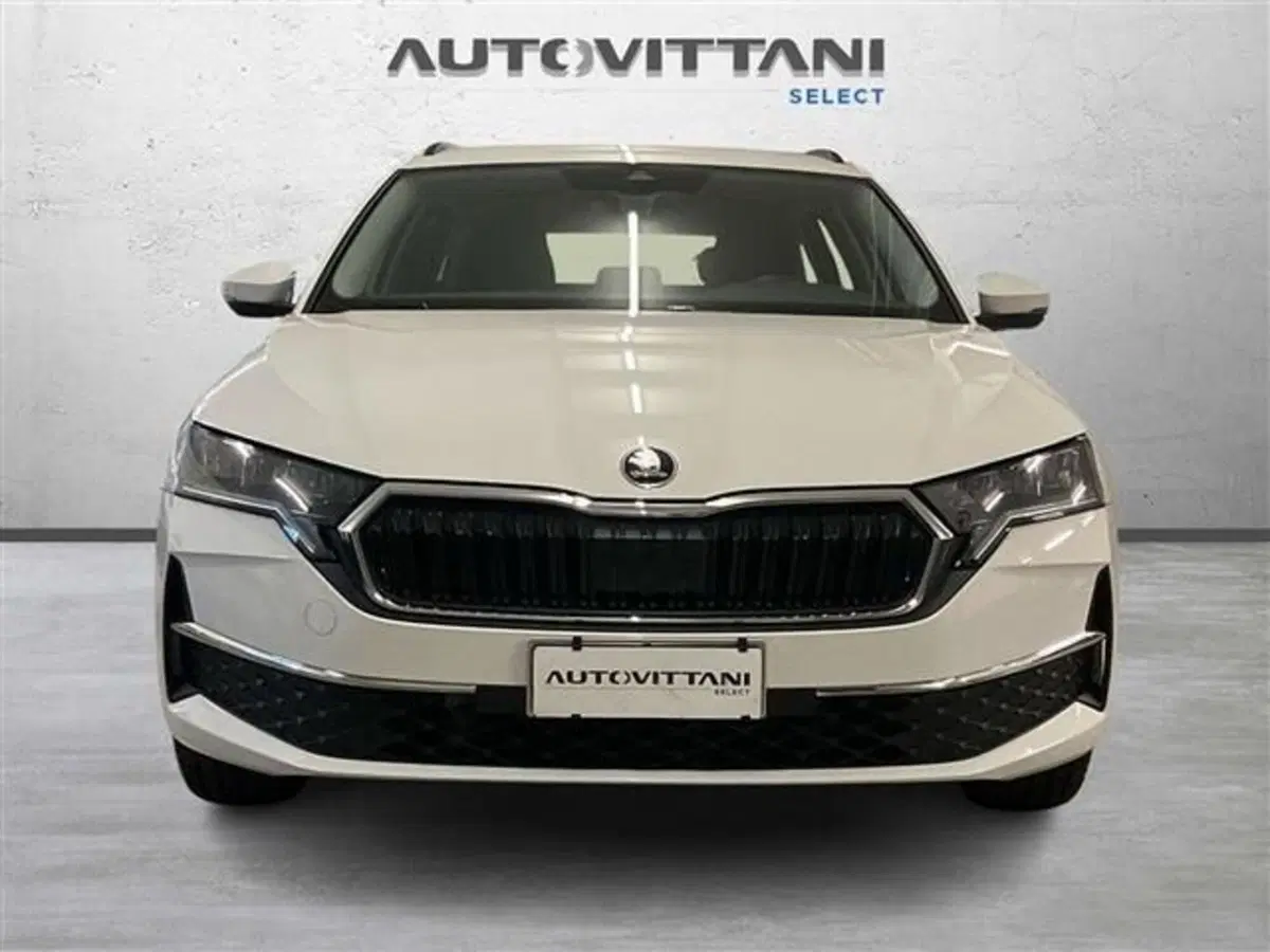 Skoda Octavia Station Wagon usata a Como (2)