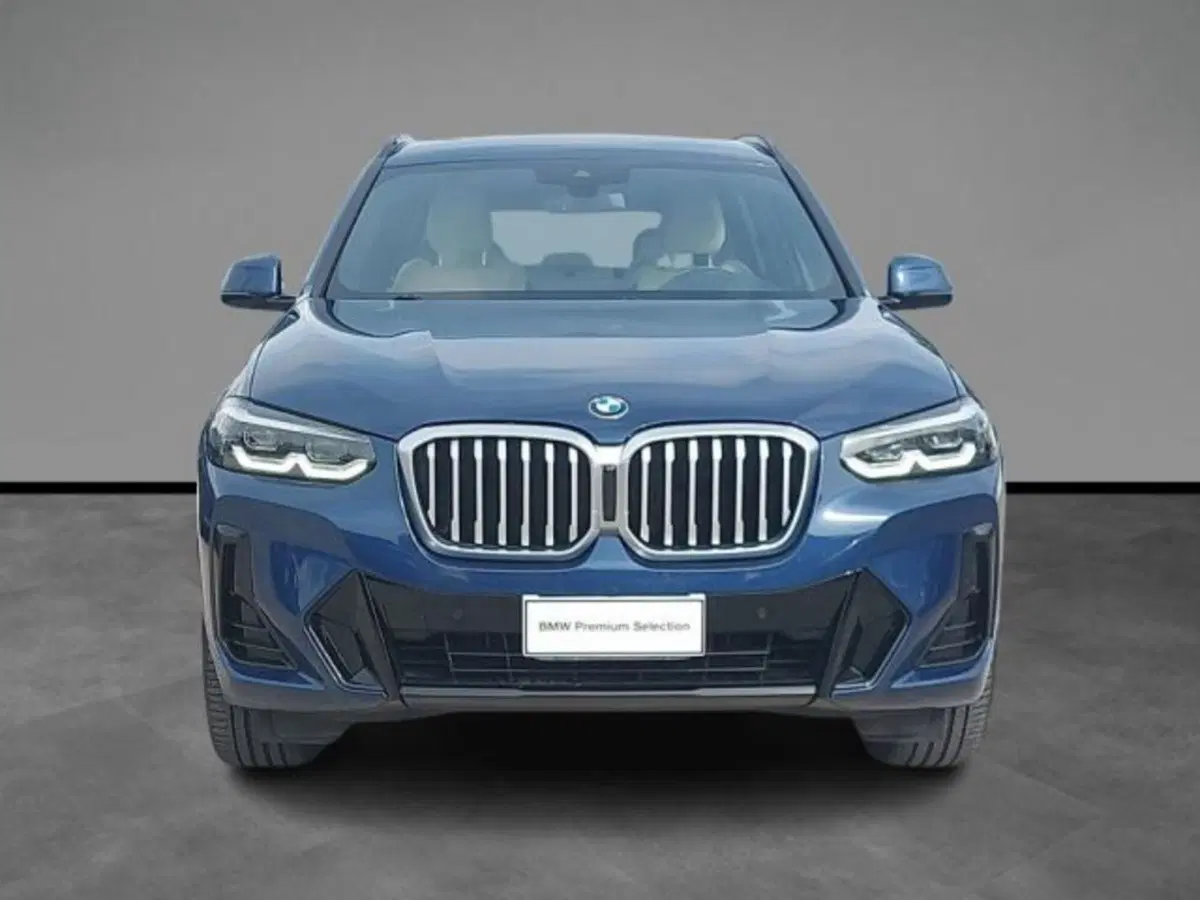 BMW X3 usata a Lecce (7)