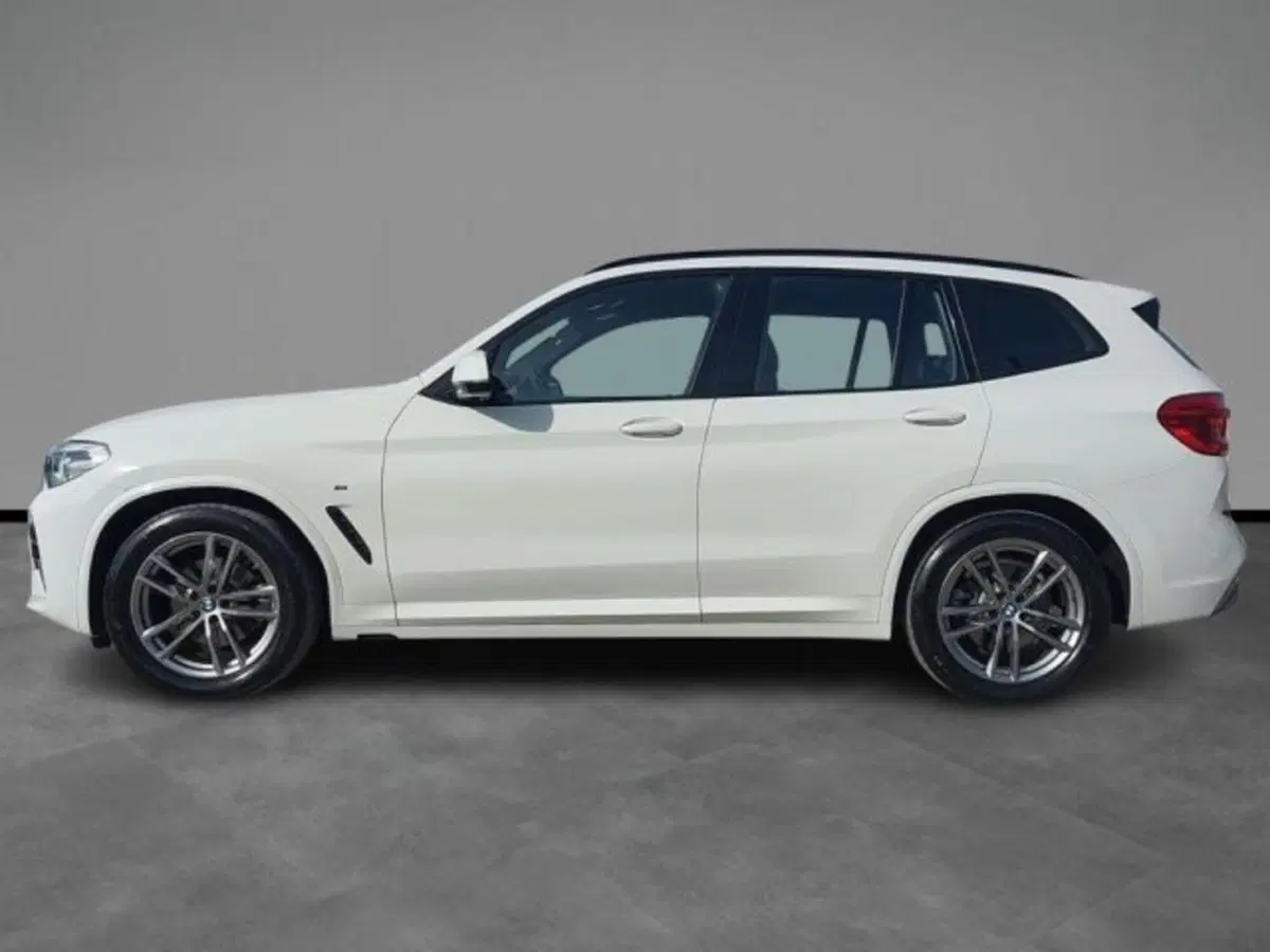 BMW X3 usata a Lecce (2)