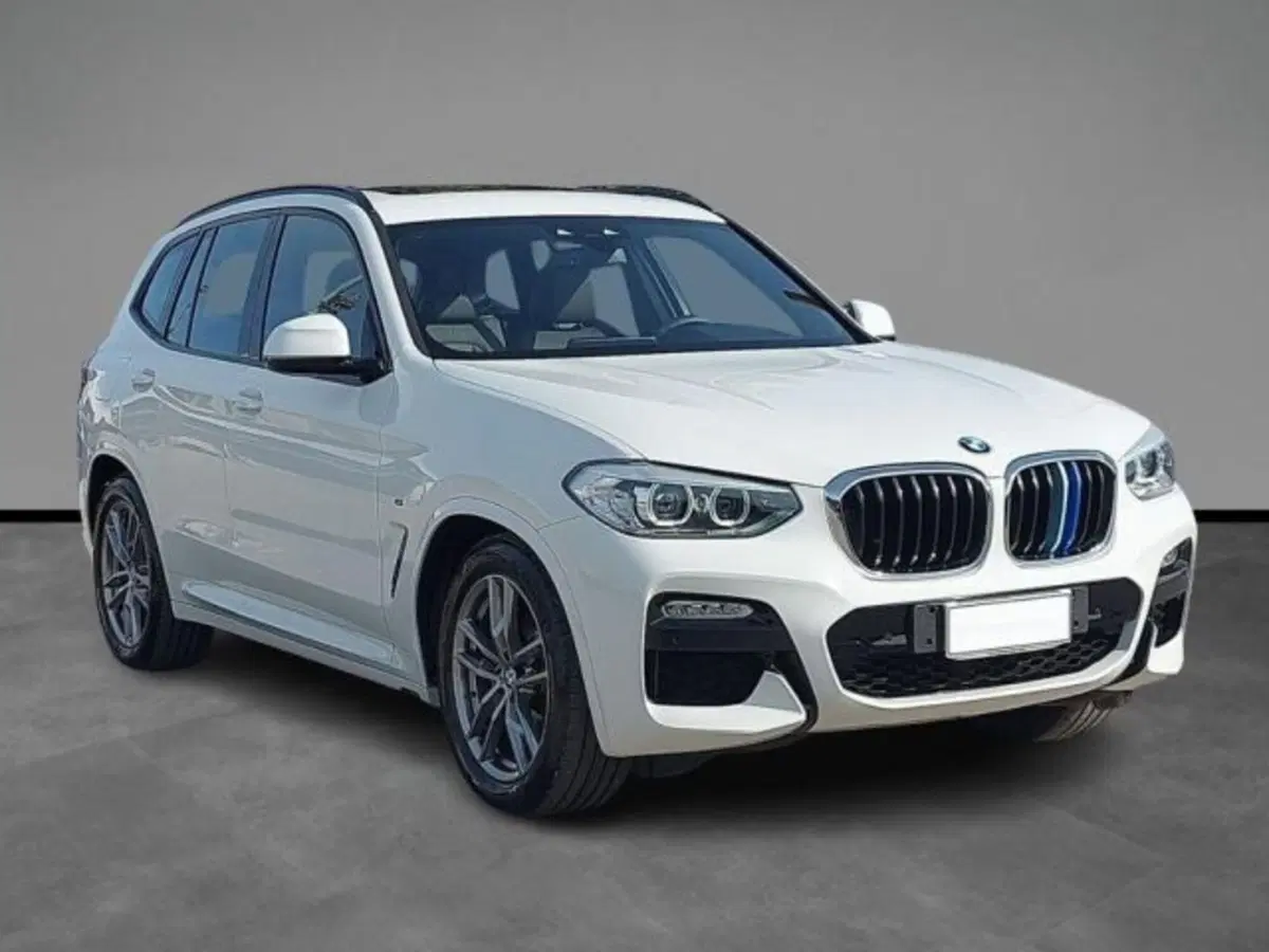 BMW X3 usata a Lecce (6)