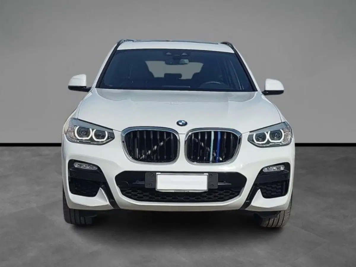 BMW X3 usata a Lecce (7)