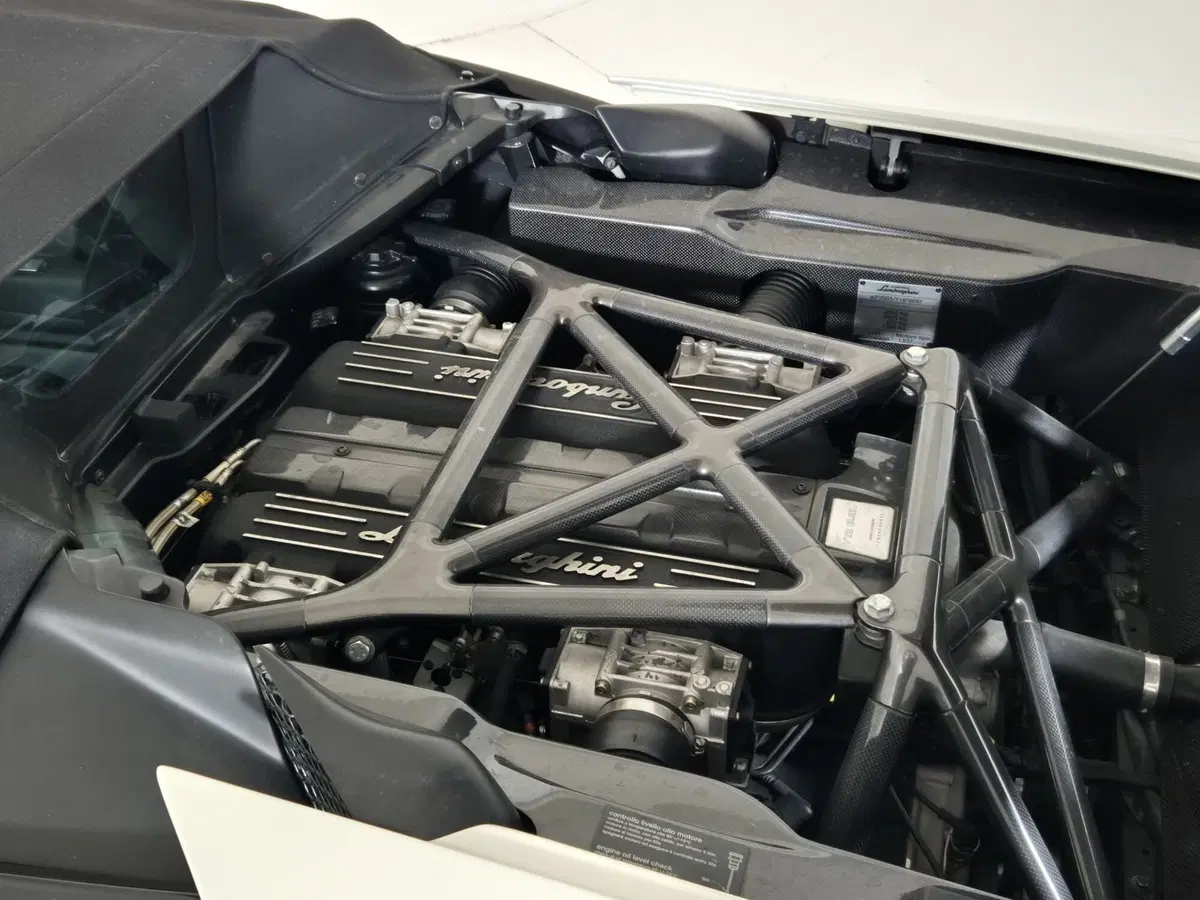Lamborghini Murciélago Cabrio usata a Torino (13)