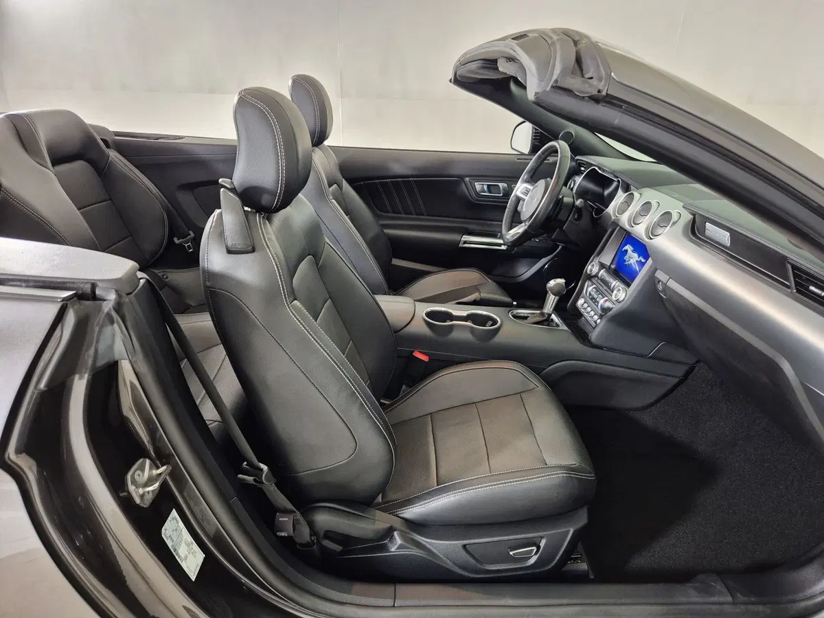 Ford Mustang Cabrio usata a Torino (10)