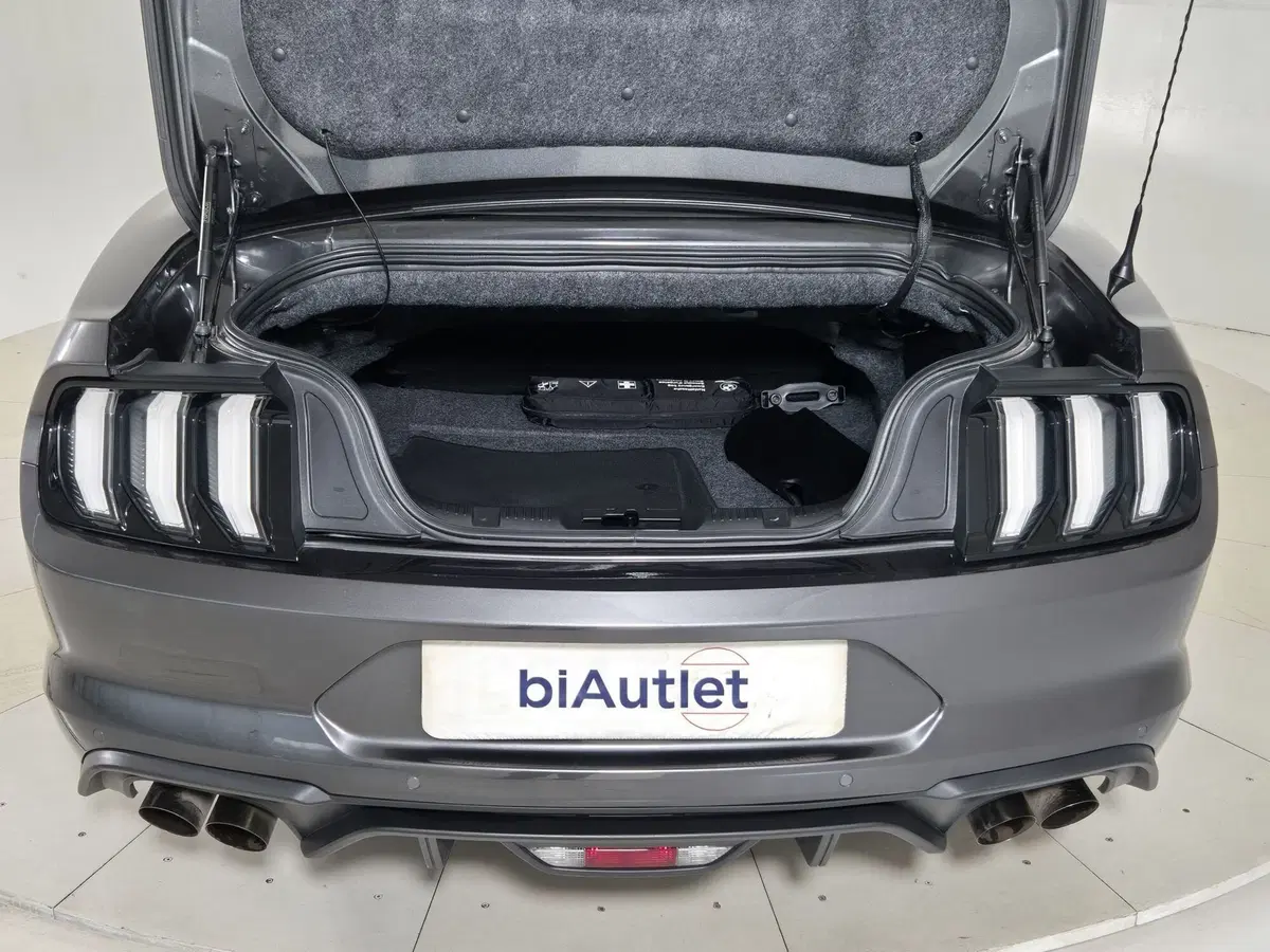 Ford Mustang Cabrio usata a Torino (13)