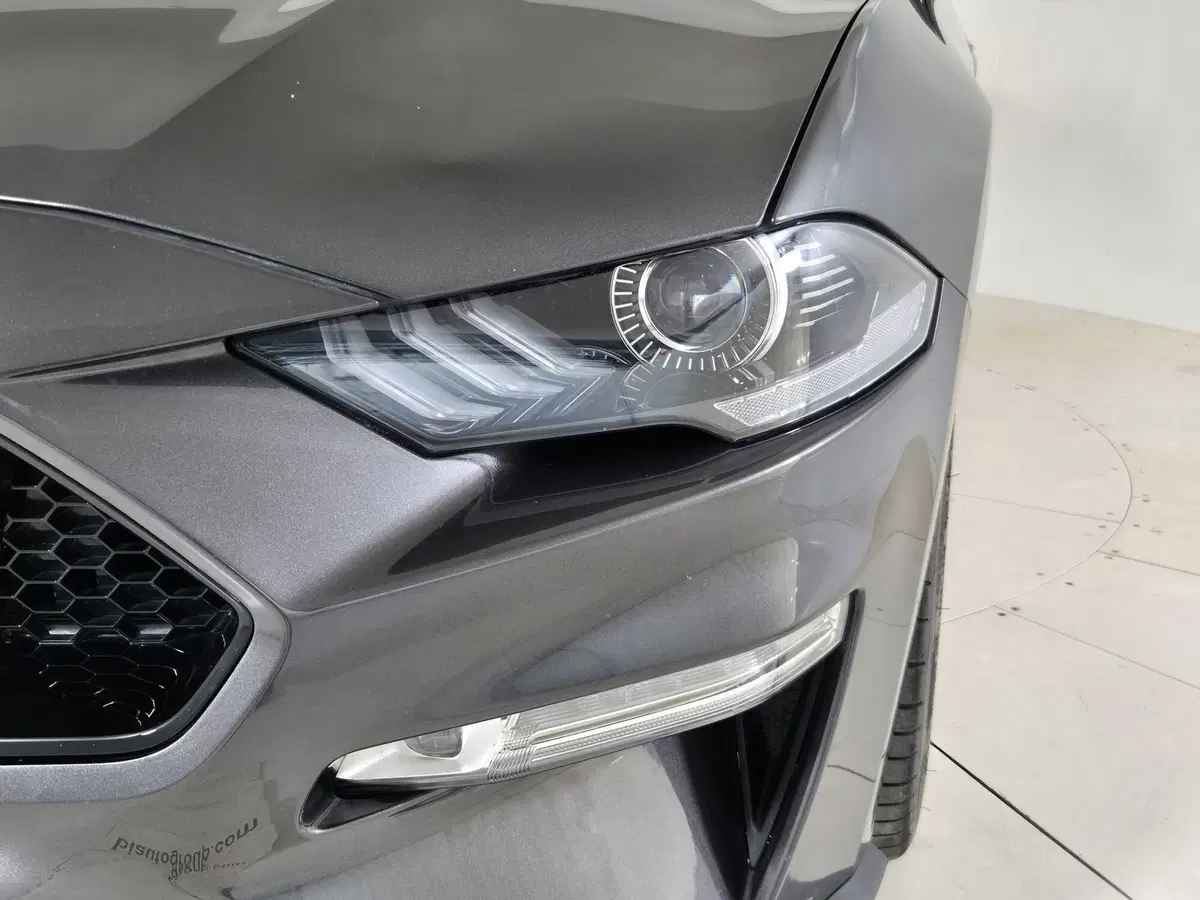 Ford Mustang Cabrio usata a Torino (18)