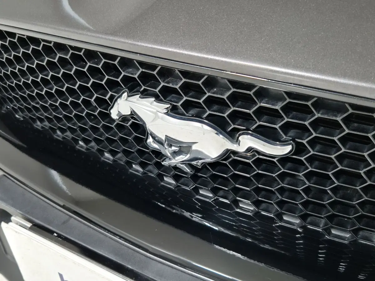 Ford Mustang Cabrio usata a Torino (19)