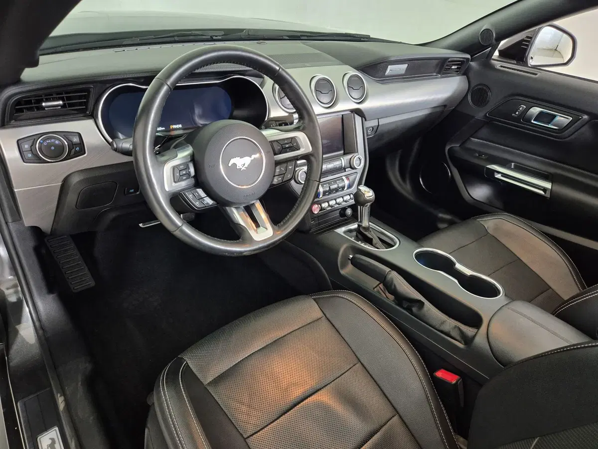 Ford Mustang Cabrio usata a Torino (6)