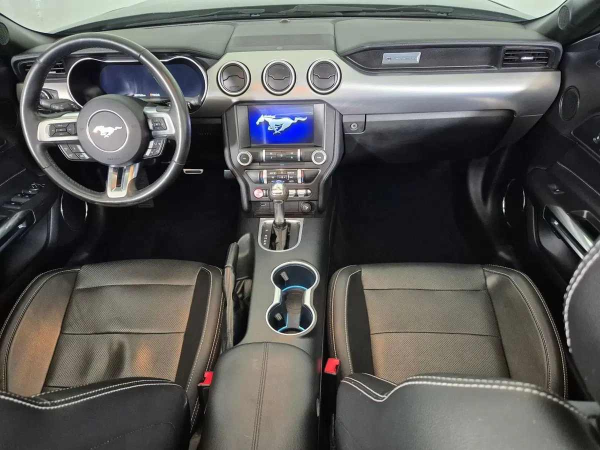 Ford Mustang Cabrio usata a Torino (8)