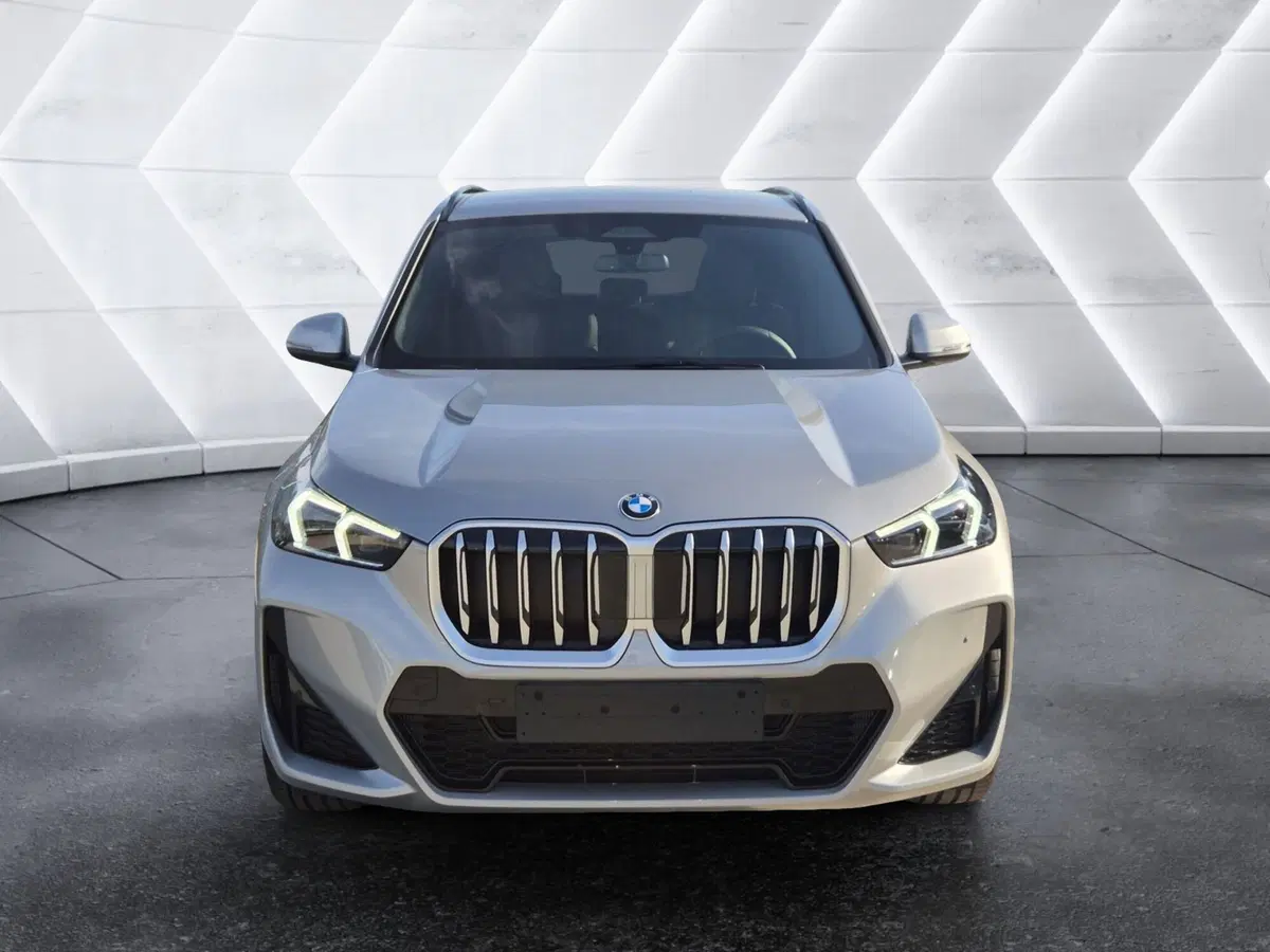 BMW X1 nuova  (2)