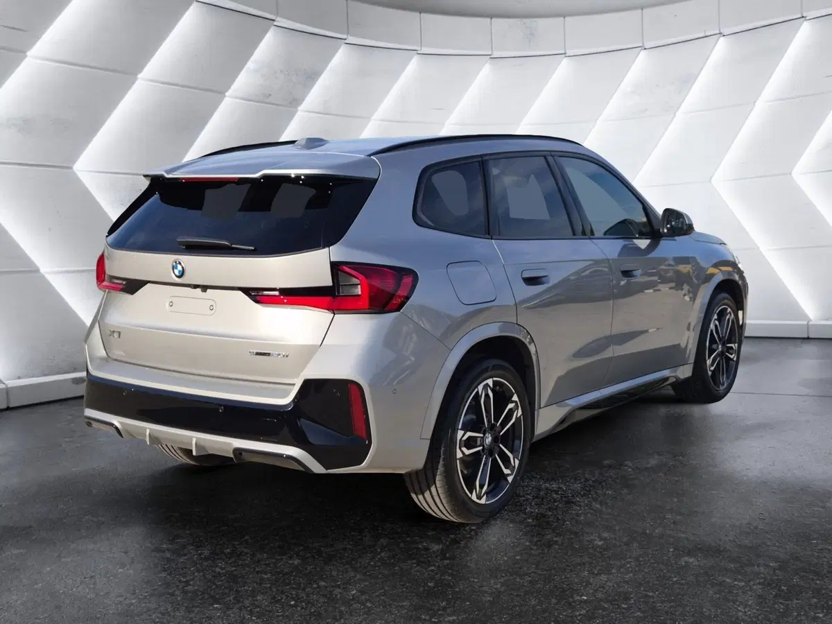 BMW X1 nuova  (4)