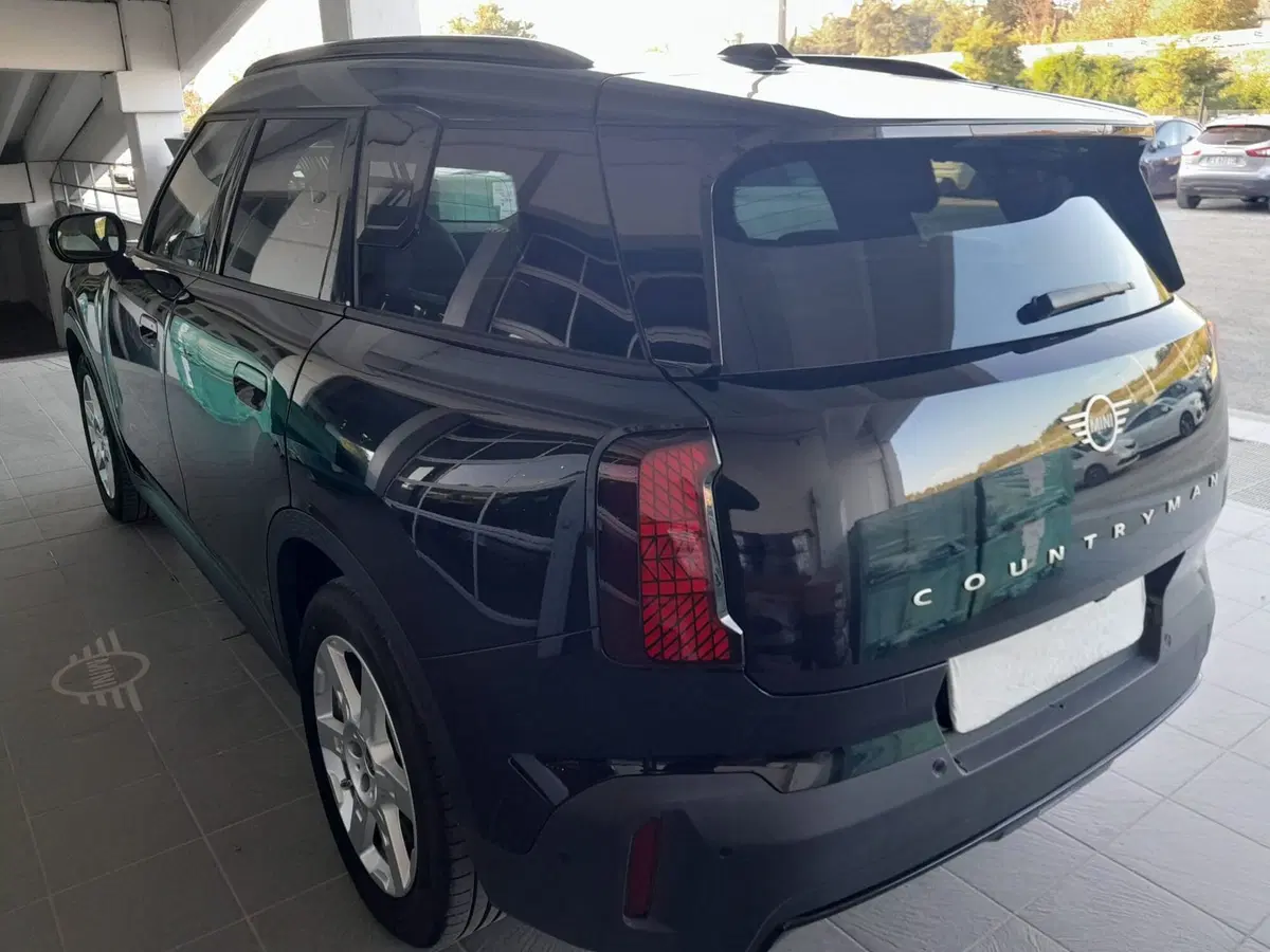 MINI Mini Countryman usata  (13)
