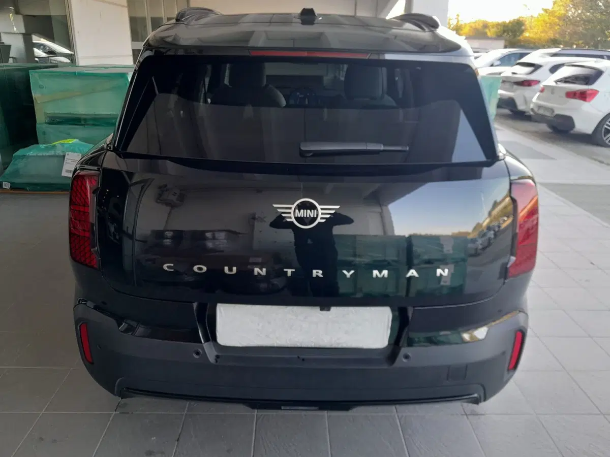 MINI Mini Countryman usata  (14)