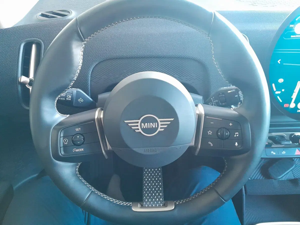 MINI Mini Countryman usata  (18)
