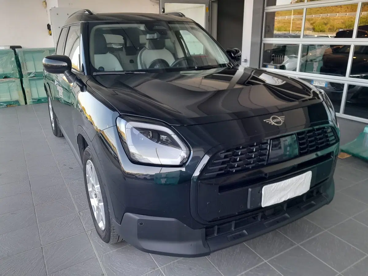 MINI Mini Countryman usata  (3)