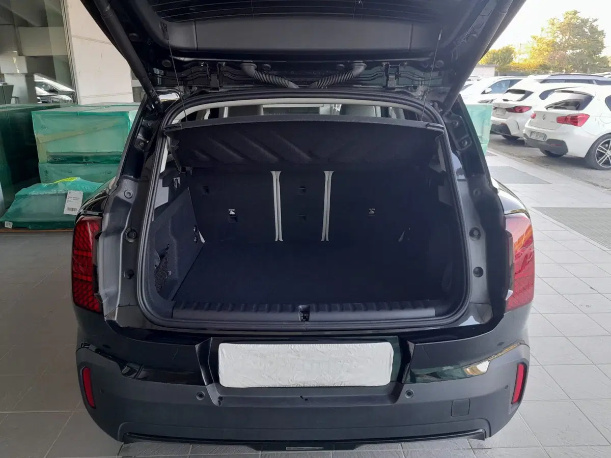 MINI Mini Countryman usata  (7)