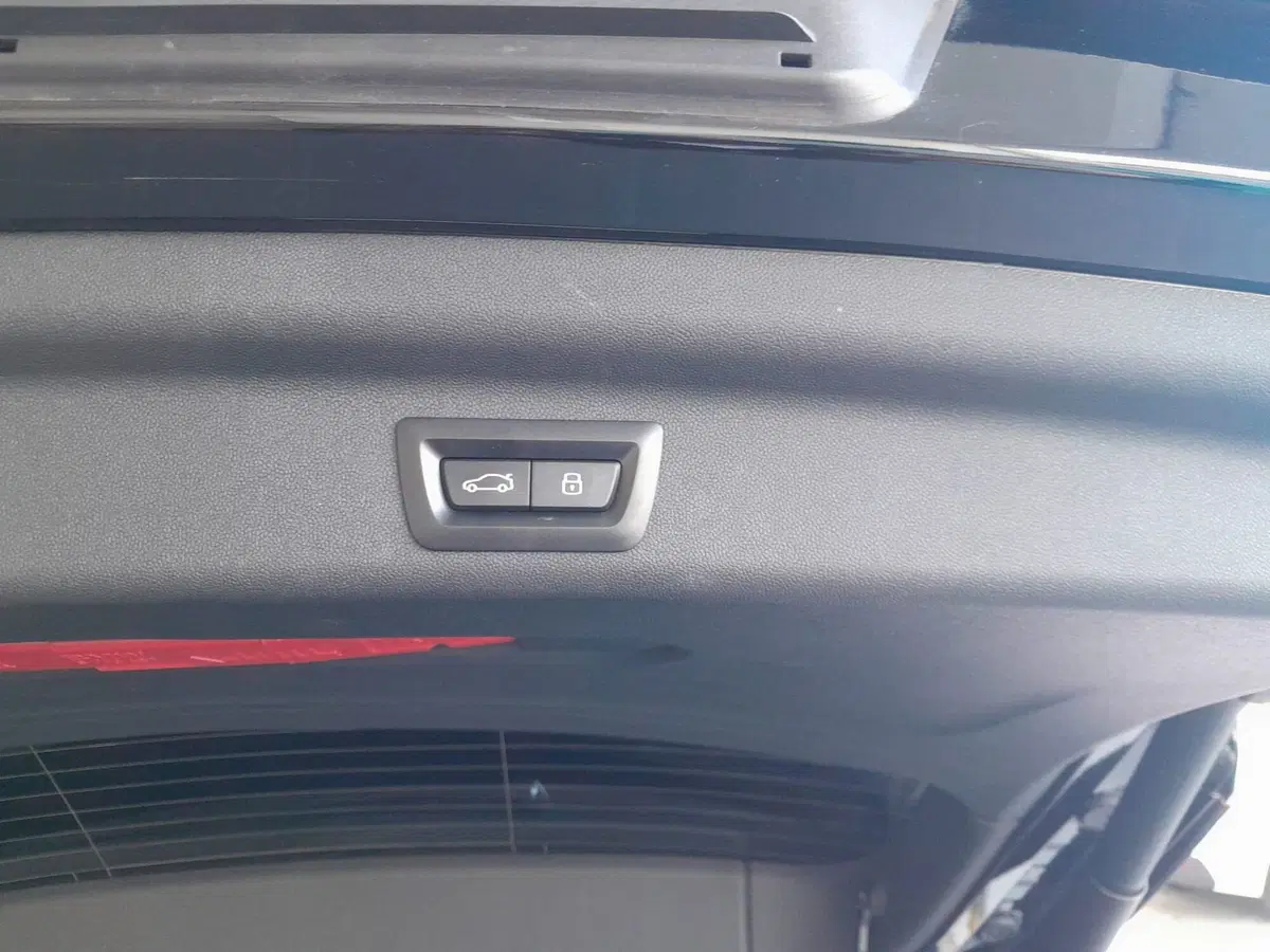 MINI Mini Countryman usata  (8)