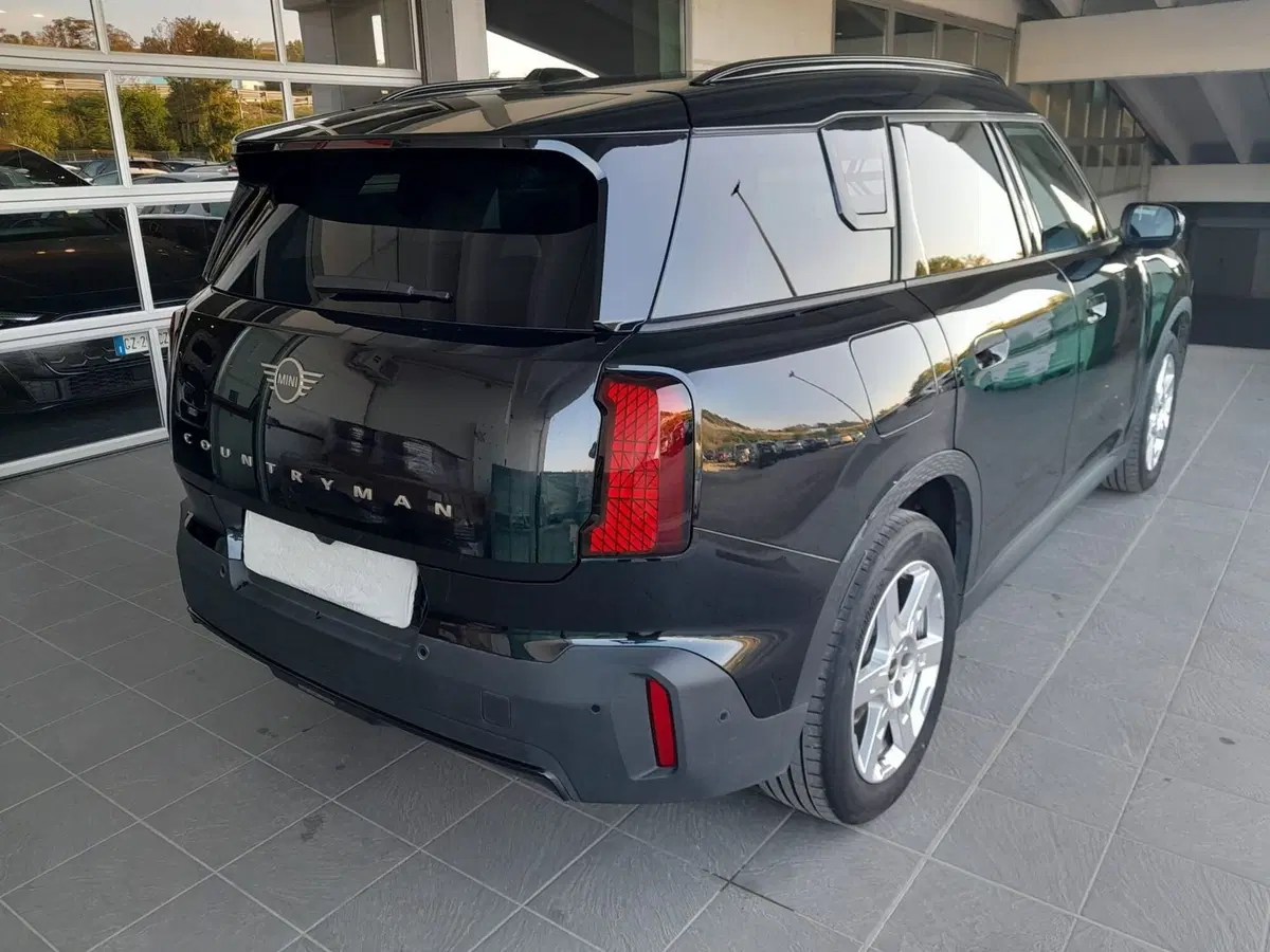 MINI Mini Countryman usata  (9)