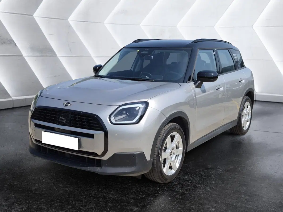 MINI Mini Countryman usata 