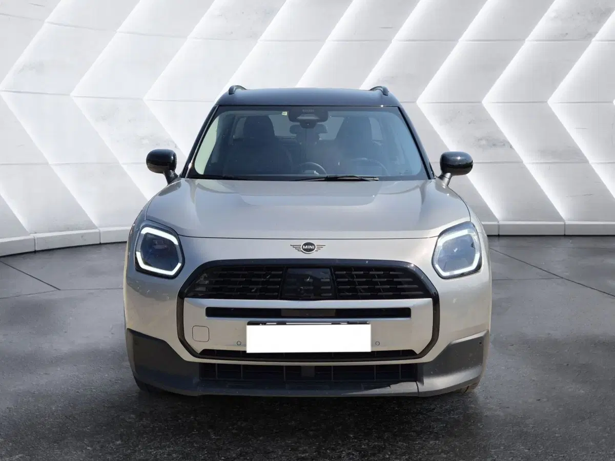 MINI Mini Countryman usata  (2)