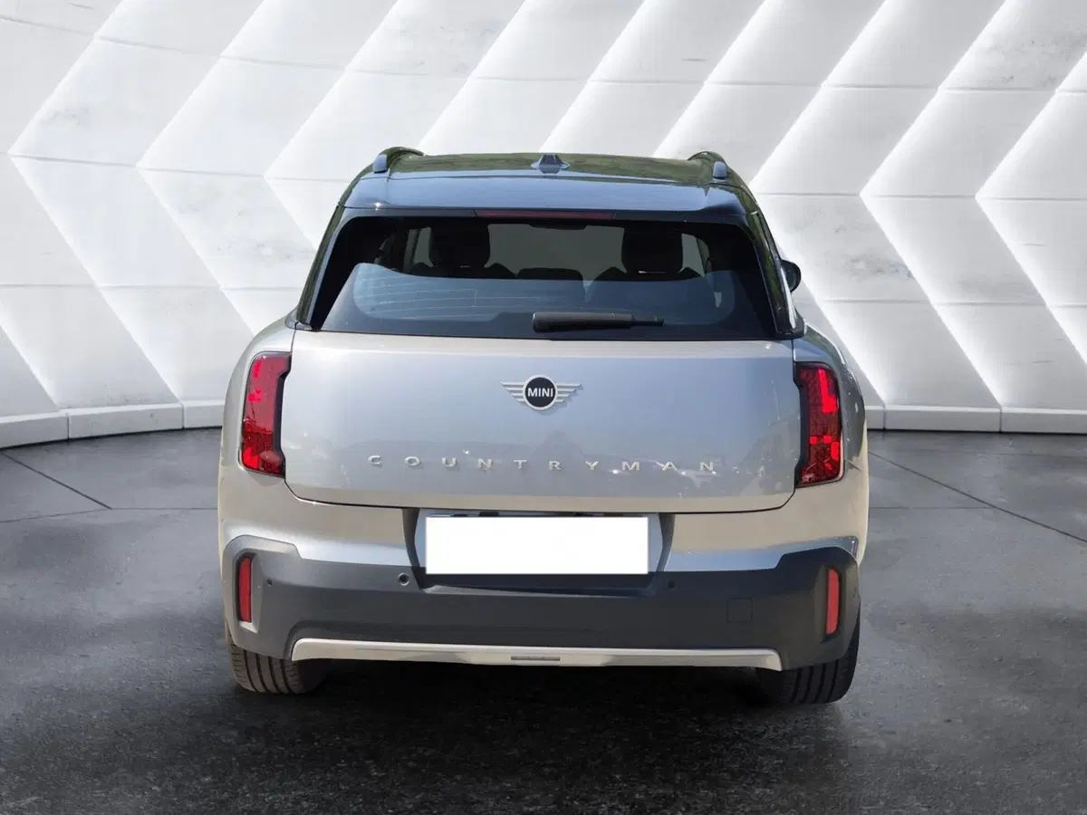 MINI Mini Countryman usata  (3)