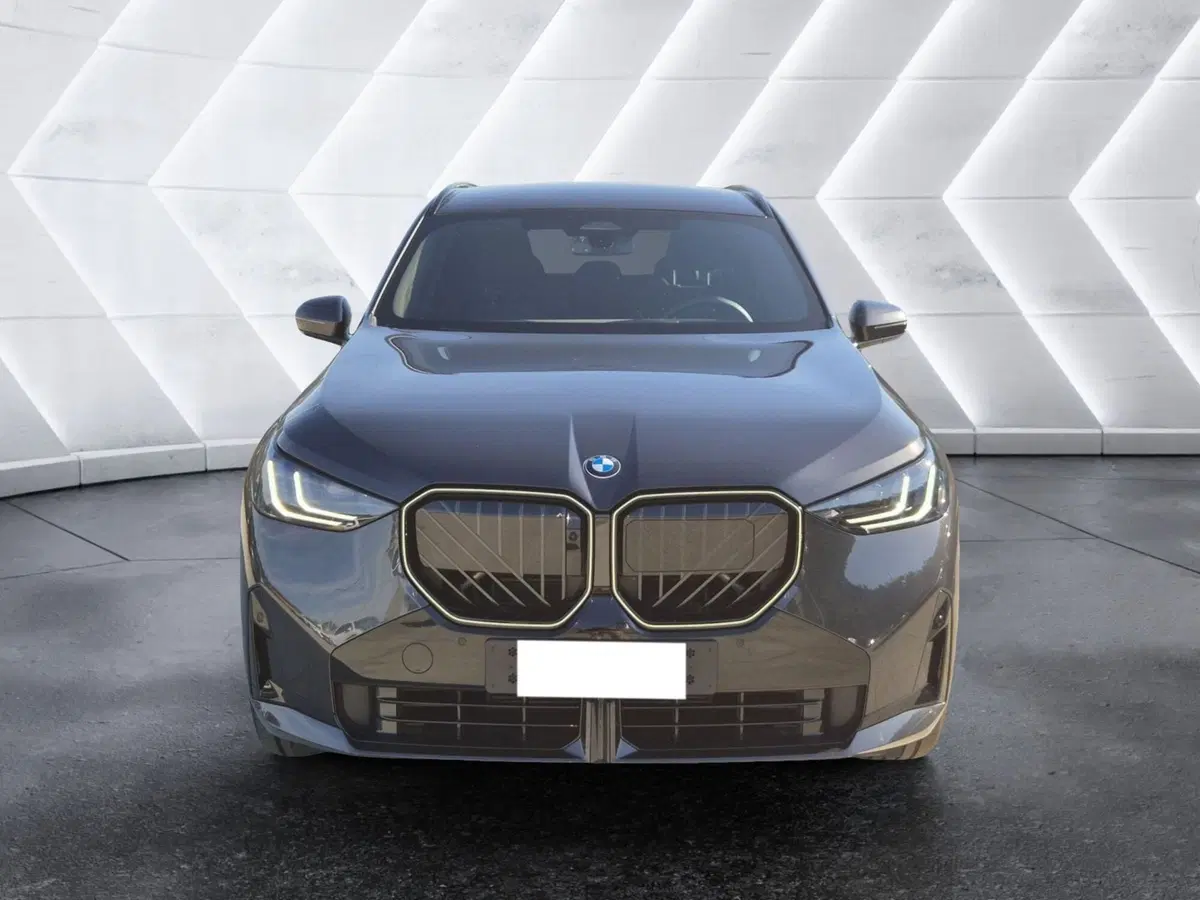 BMW X3 usata  (2)