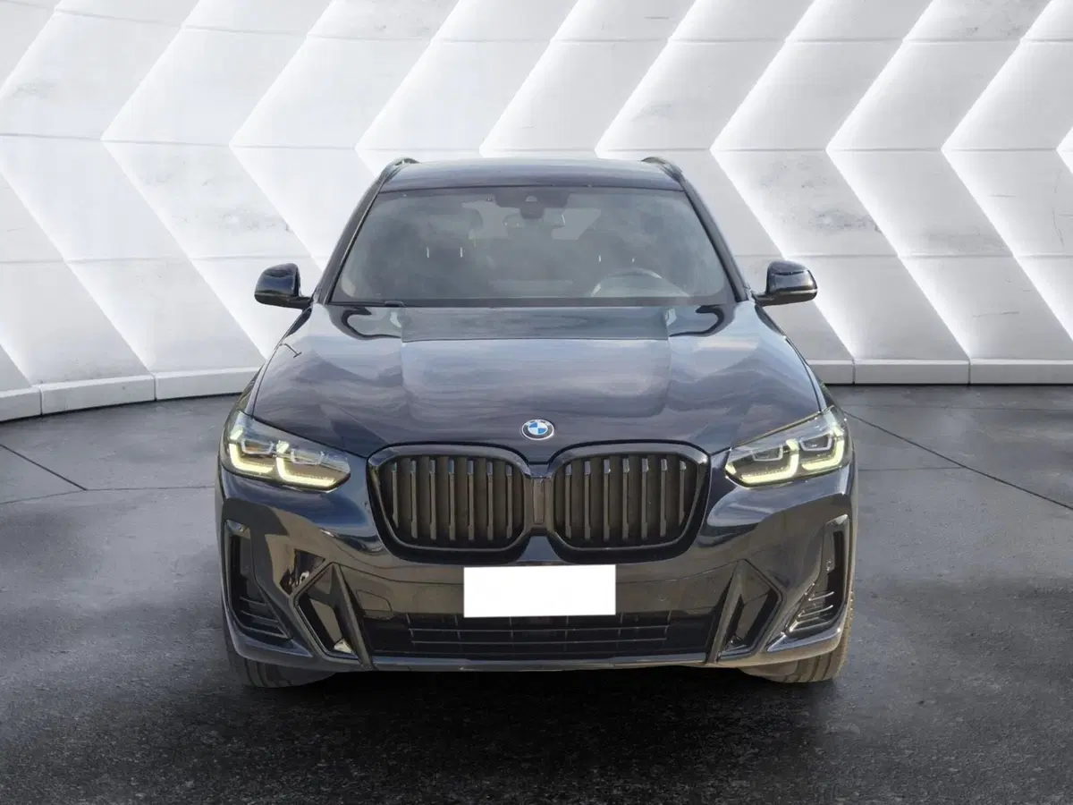 BMW X3 usata  (2)