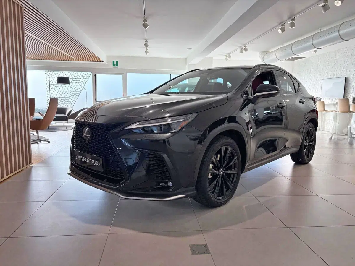 Lexus NX usata a Venezia