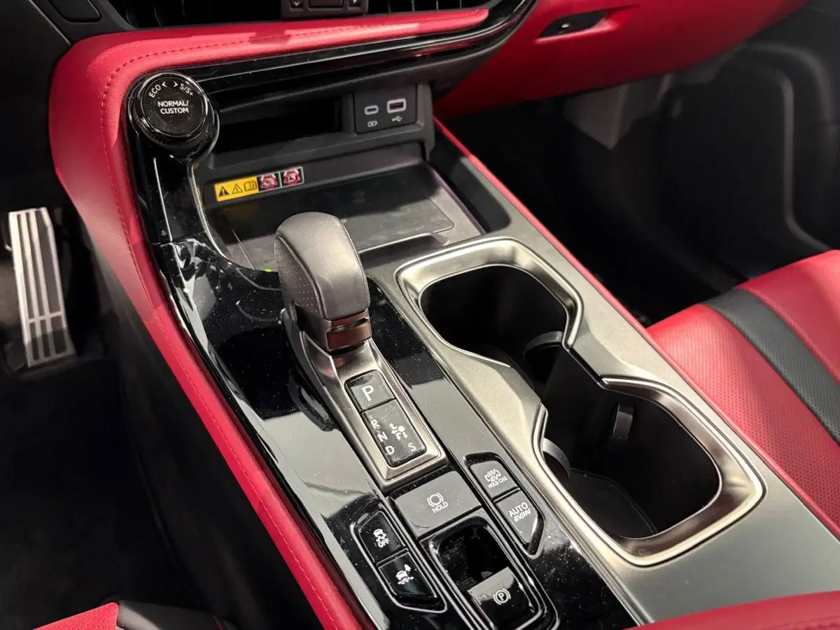 Lexus NX usata a Venezia (11)
