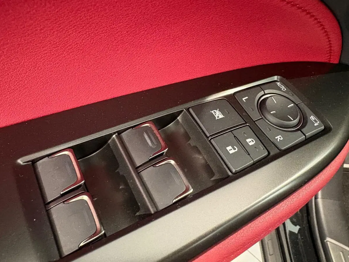 Lexus NX usata a Venezia (12)