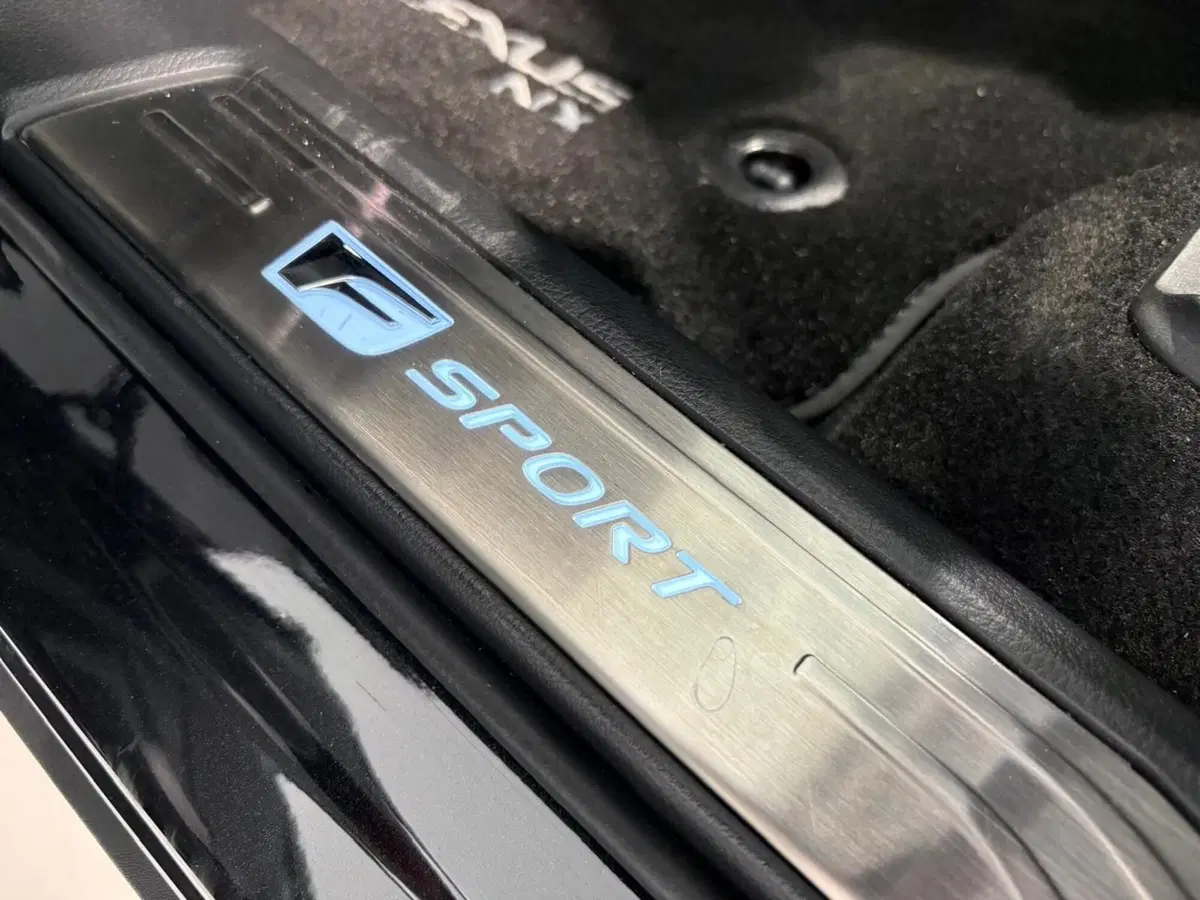 Lexus NX usata a Venezia (13)