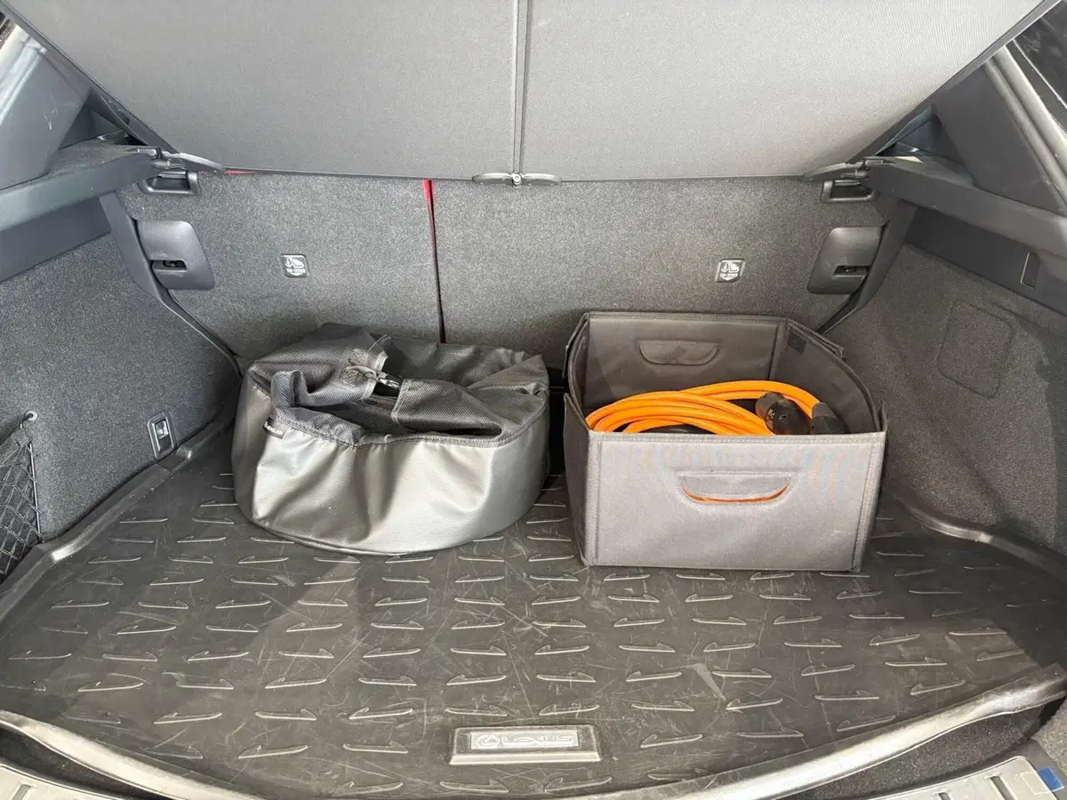 Lexus NX usata a Venezia (14)