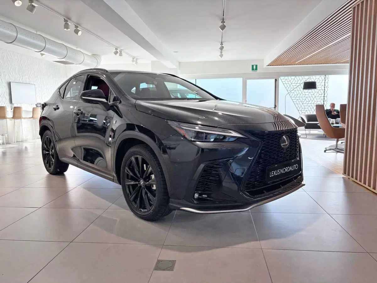 Lexus NX usata a Venezia (2)