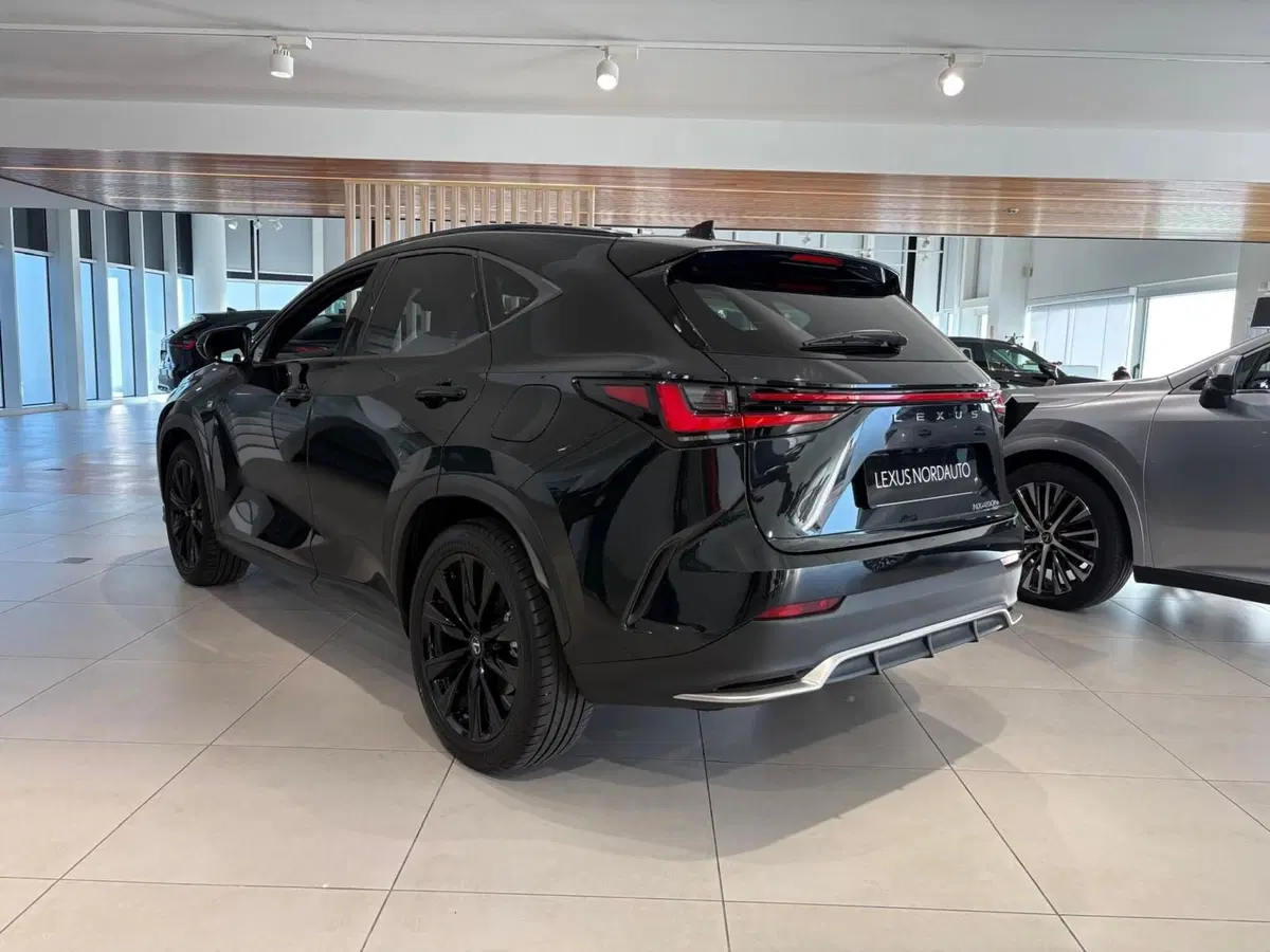 Lexus NX usata a Venezia (3)