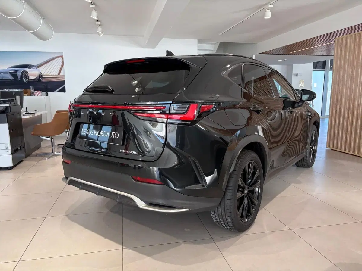 Lexus NX usata a Venezia (4)