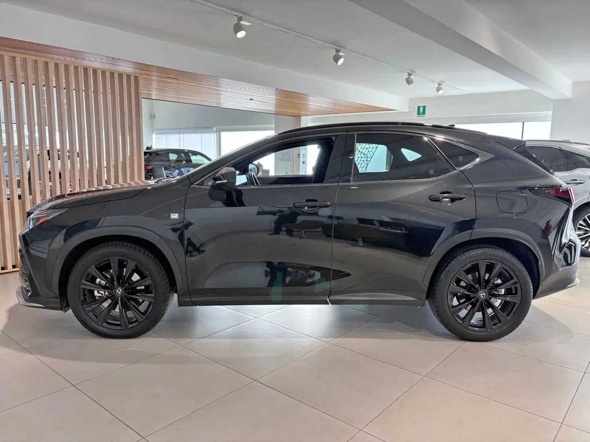 Lexus NX usata a Venezia (5)