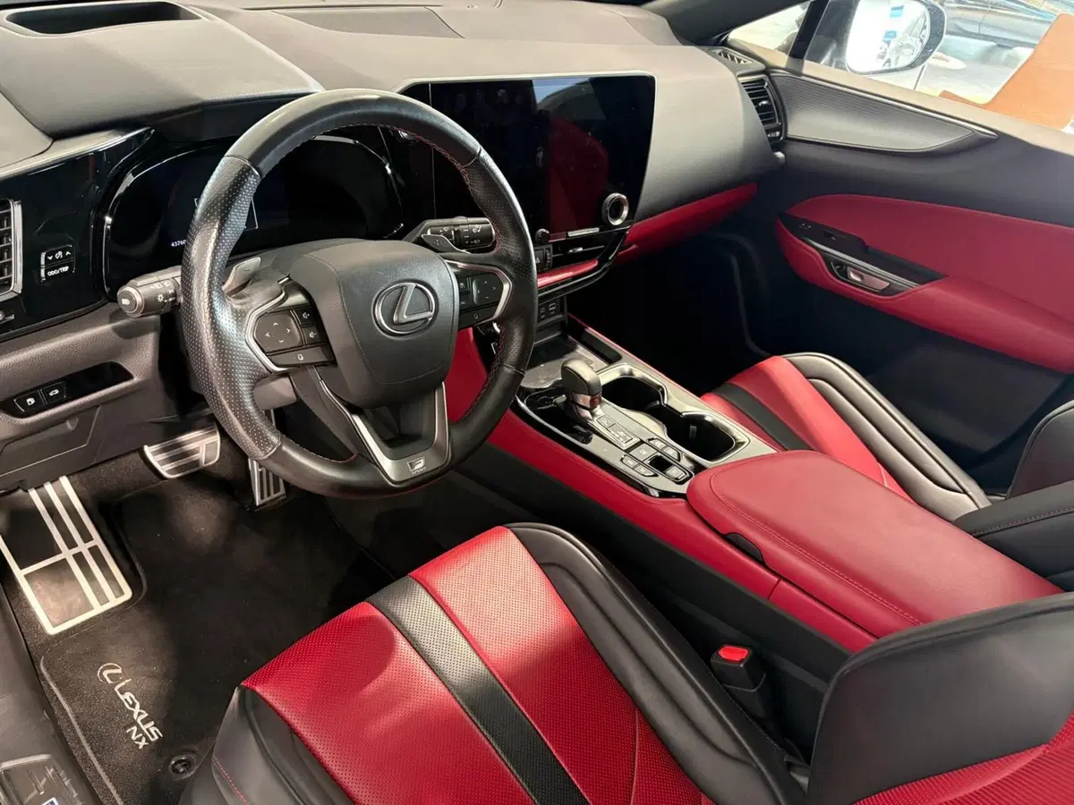 Lexus NX usata a Venezia (7)