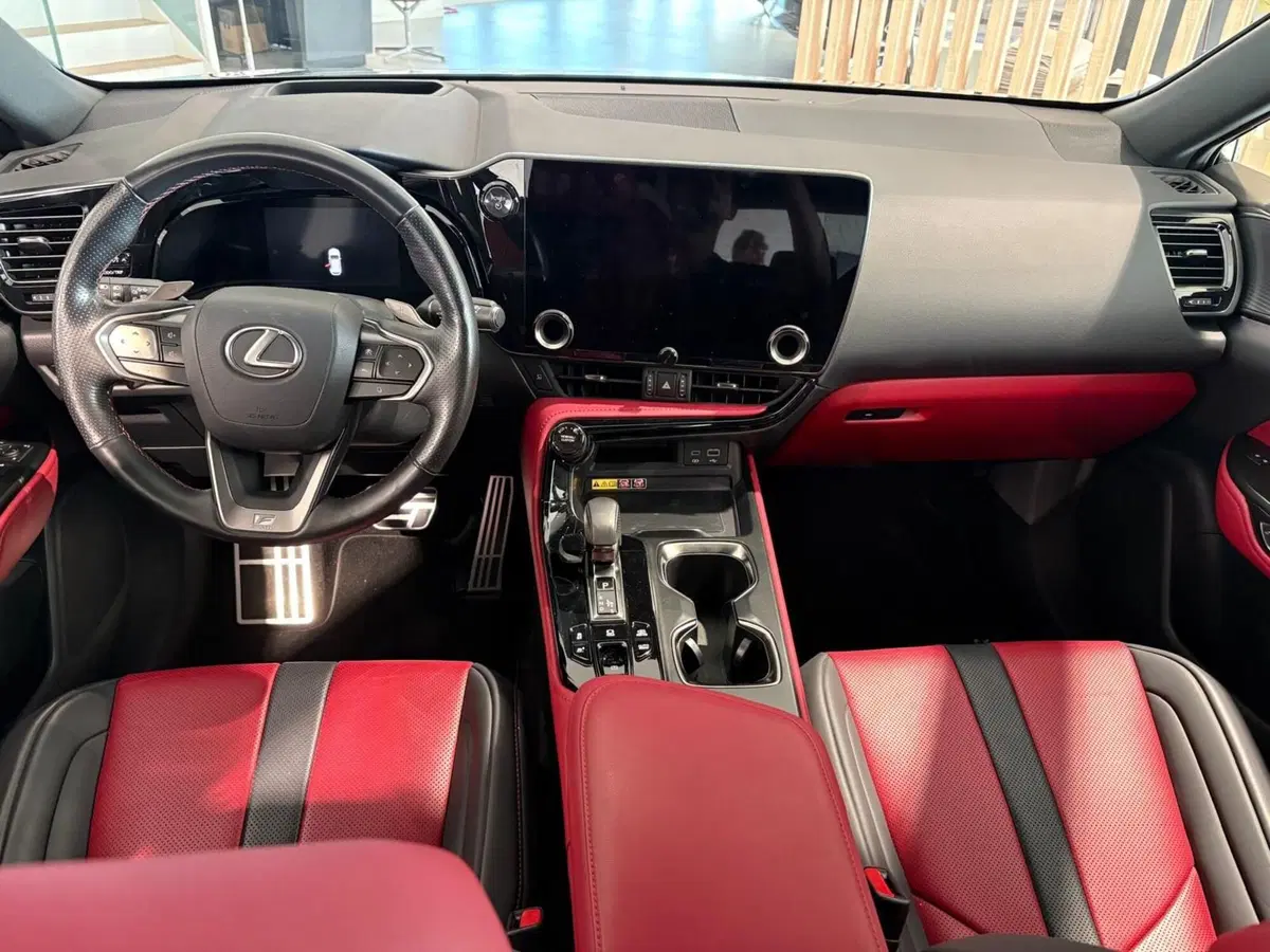 Lexus NX usata a Venezia (9)