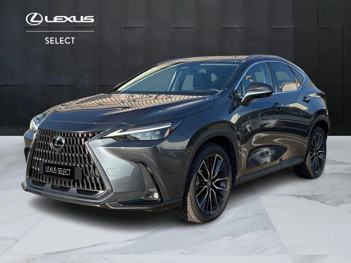 Lexus NX usata a Venezia