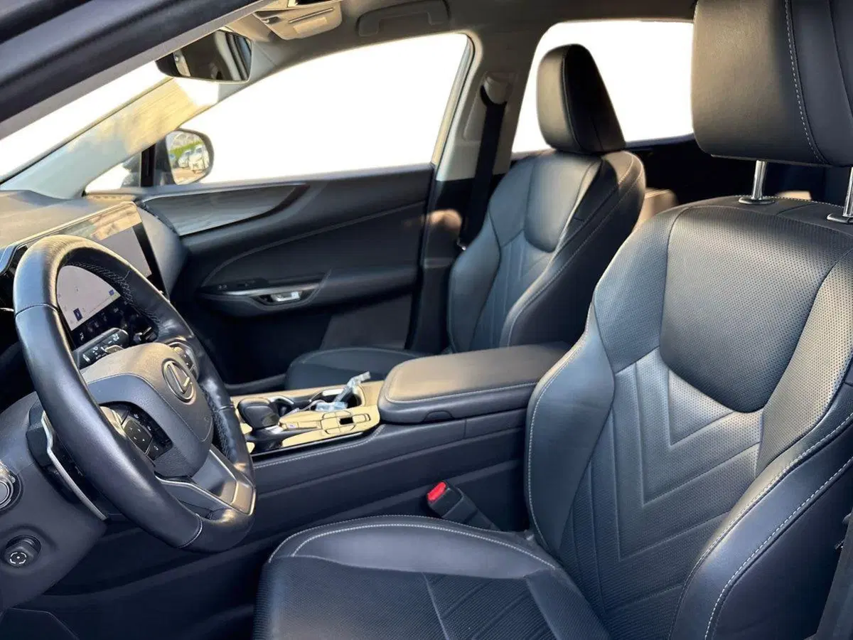 Lexus NX usata a Venezia (10)