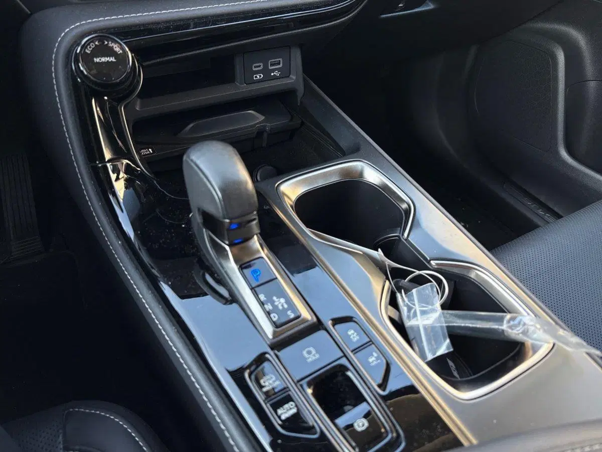 Lexus NX usata a Venezia (16)