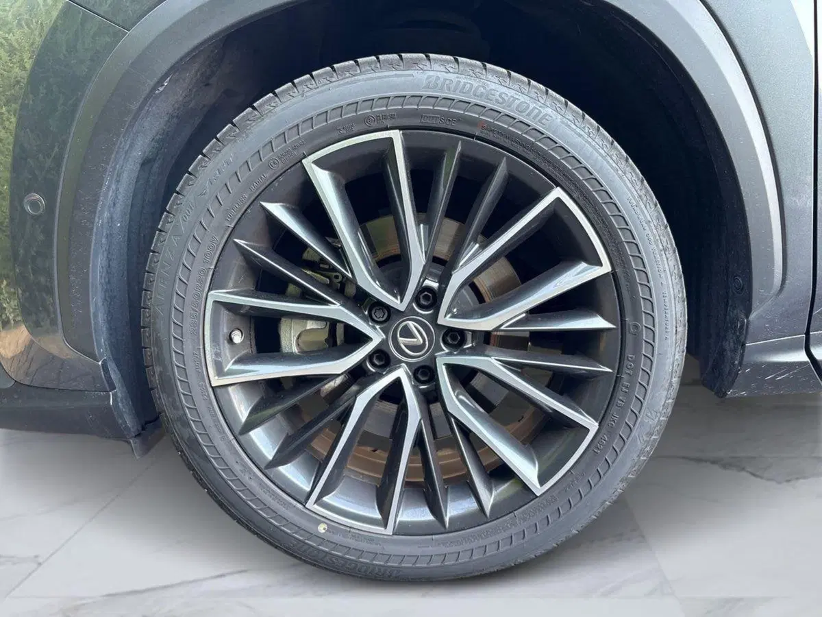 Lexus NX usata a Venezia (19)