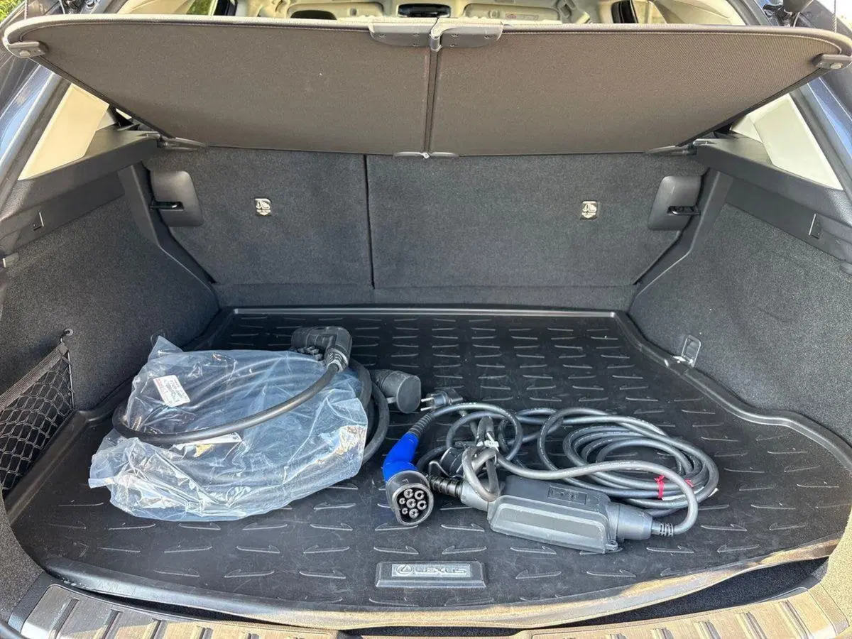 Lexus NX usata a Venezia (20)